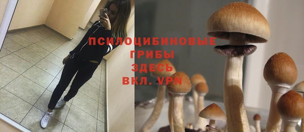 метадон Нея