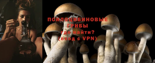 ALPHA-PVP Гусиноозёрск