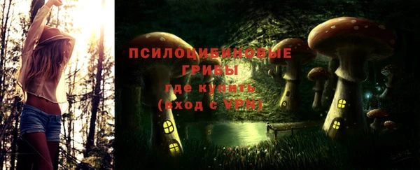 метадон Нея